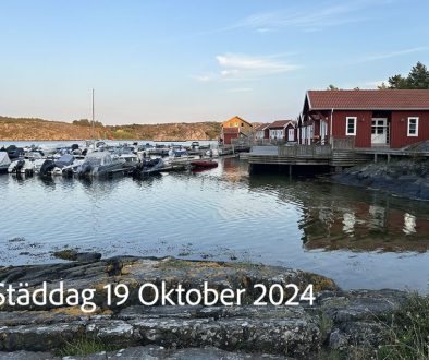 Havn-brygge staddag